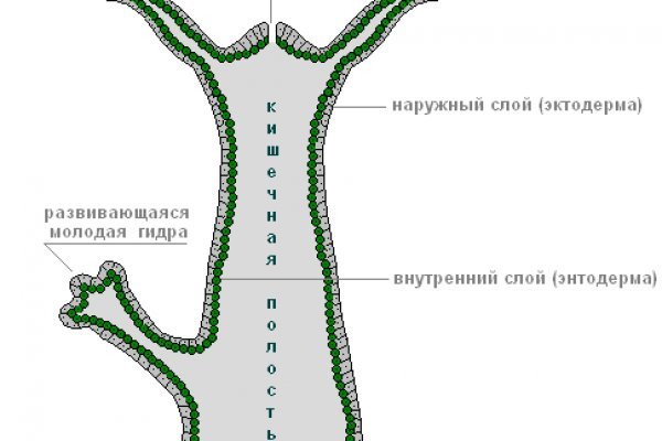 Кракен сайт официальный onion